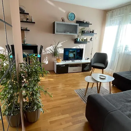 Oaza Novi Sad